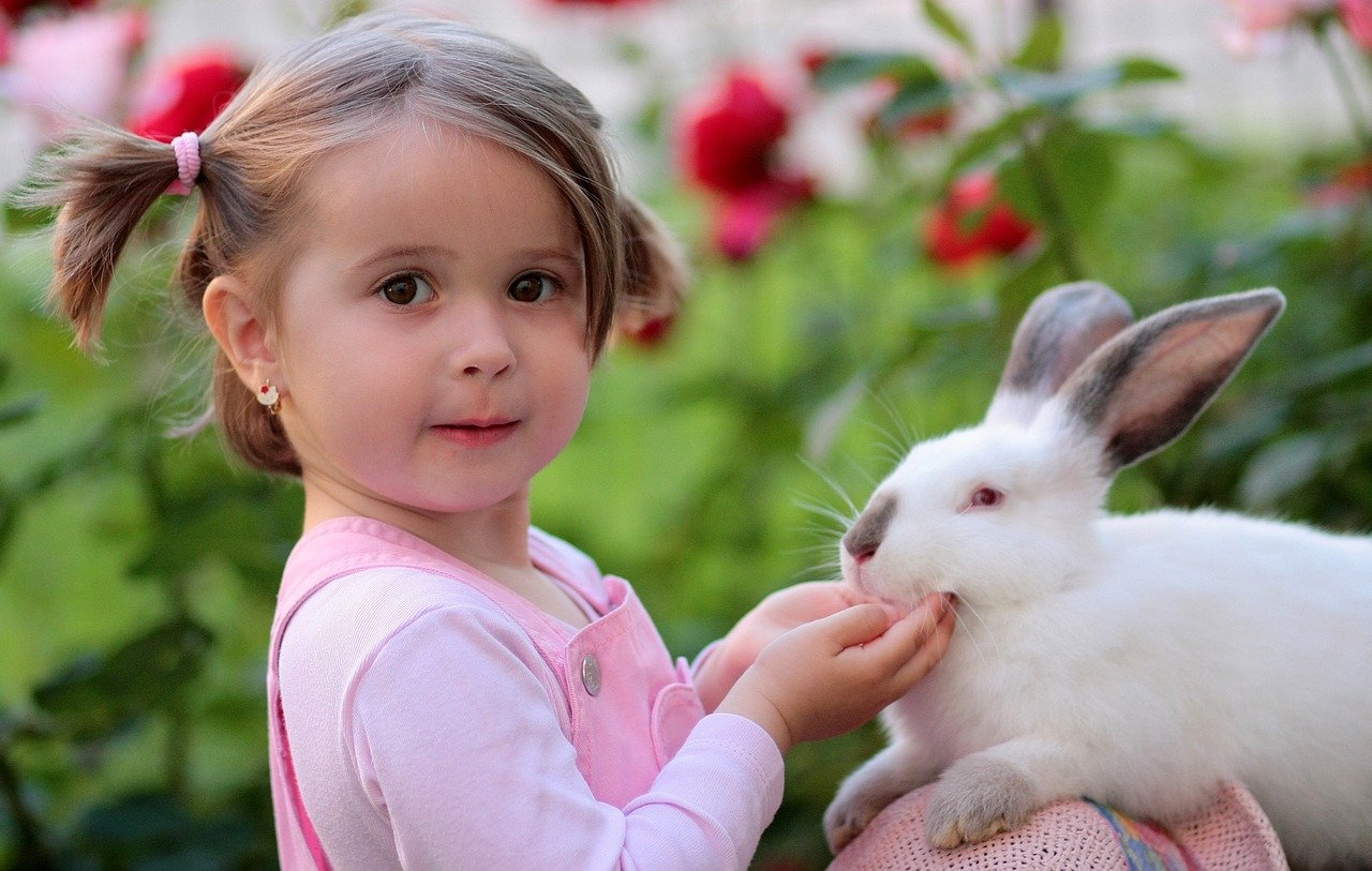 Bonding with your pet rabbit_ girl and rabbit