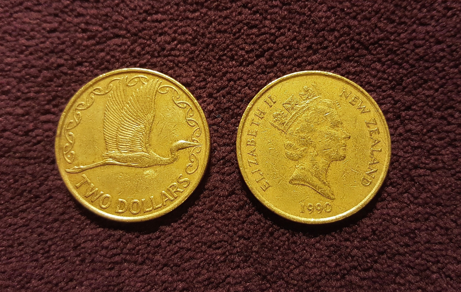 How Much Does a Pet Rabbit Cost_UK currency
