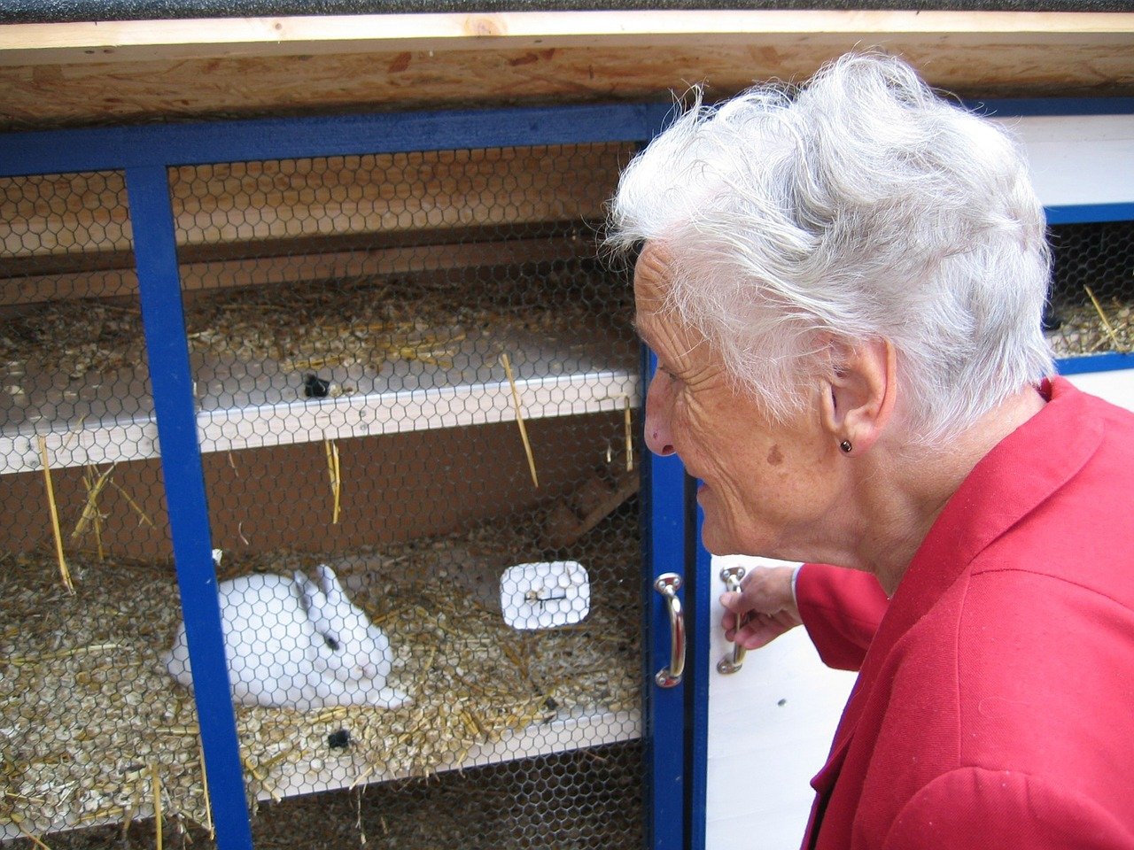 How Much Does a Pet Rabbit Cost_lady looking at a rabbit