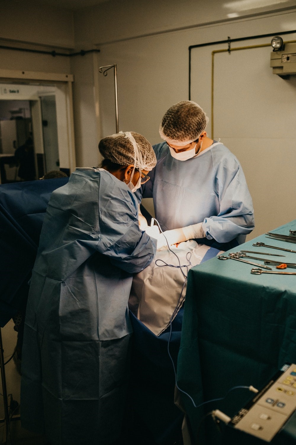 Spaying or neutering a rabbit_vet clinic