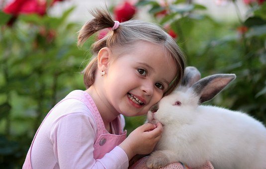 handling your rabbit correctly_Picking a rabbit