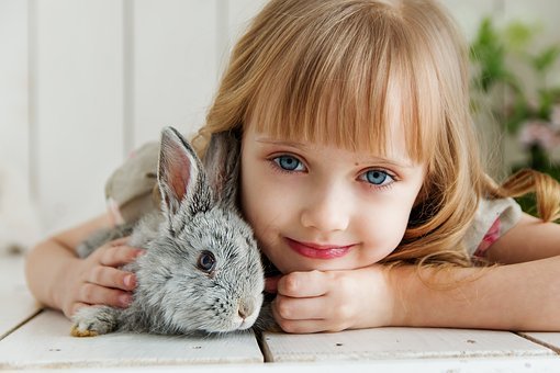 handling your rabbit correctly_Playing with a rabbit