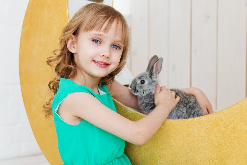 enrichment for rabbits_kid playing with a bunny