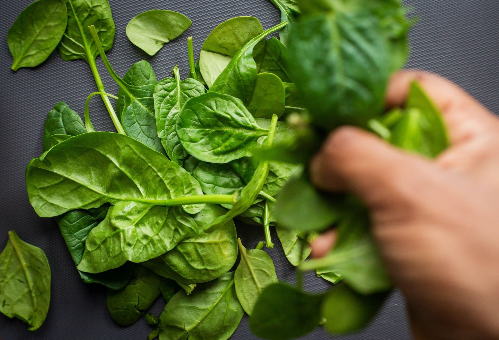 Can Rabbits Eat Spinach Daily_Should rabbits eat spinach