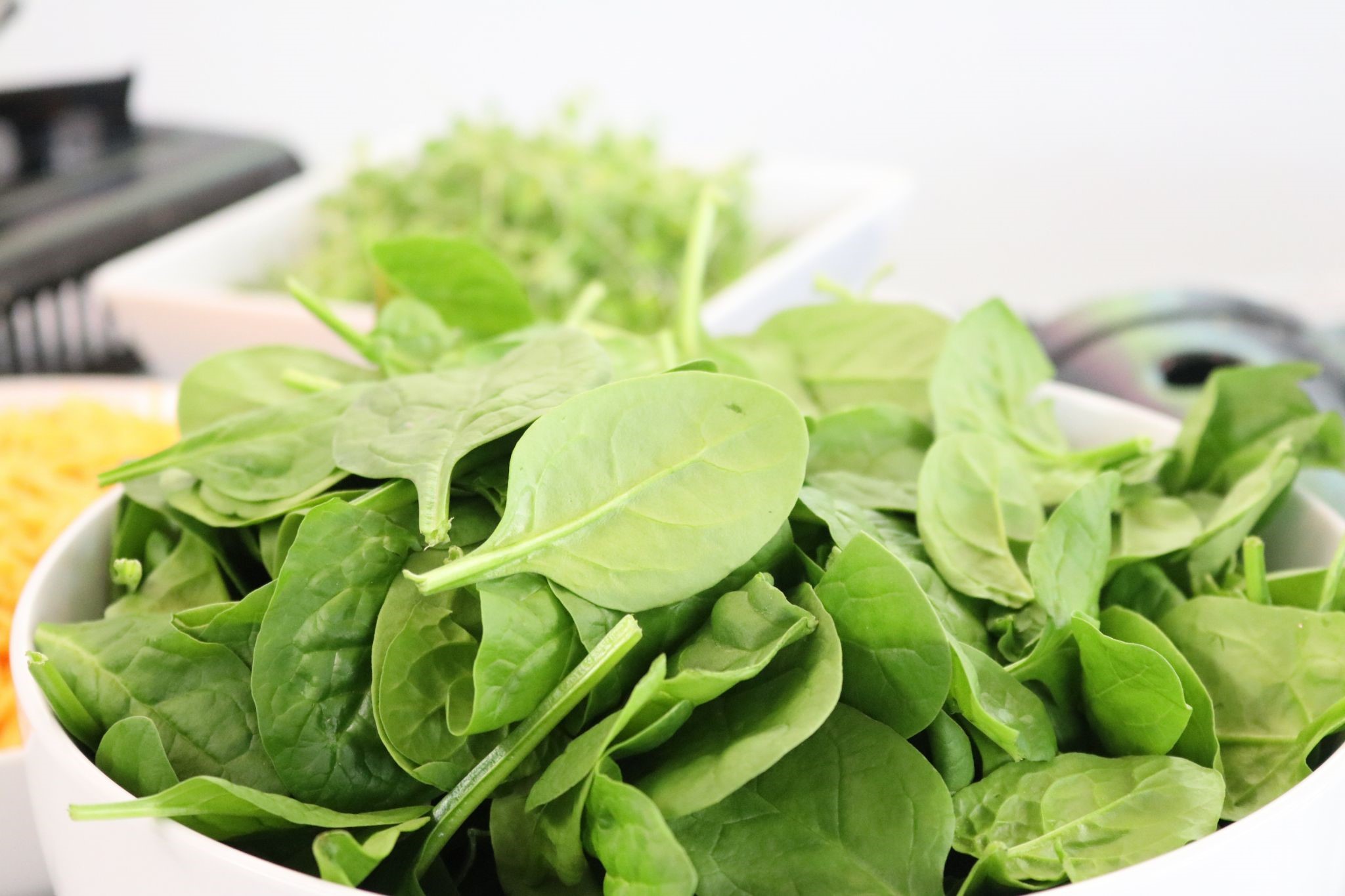 Can Rabbits Eat Spinach Daily_rabbits eat spinach stalks and roots