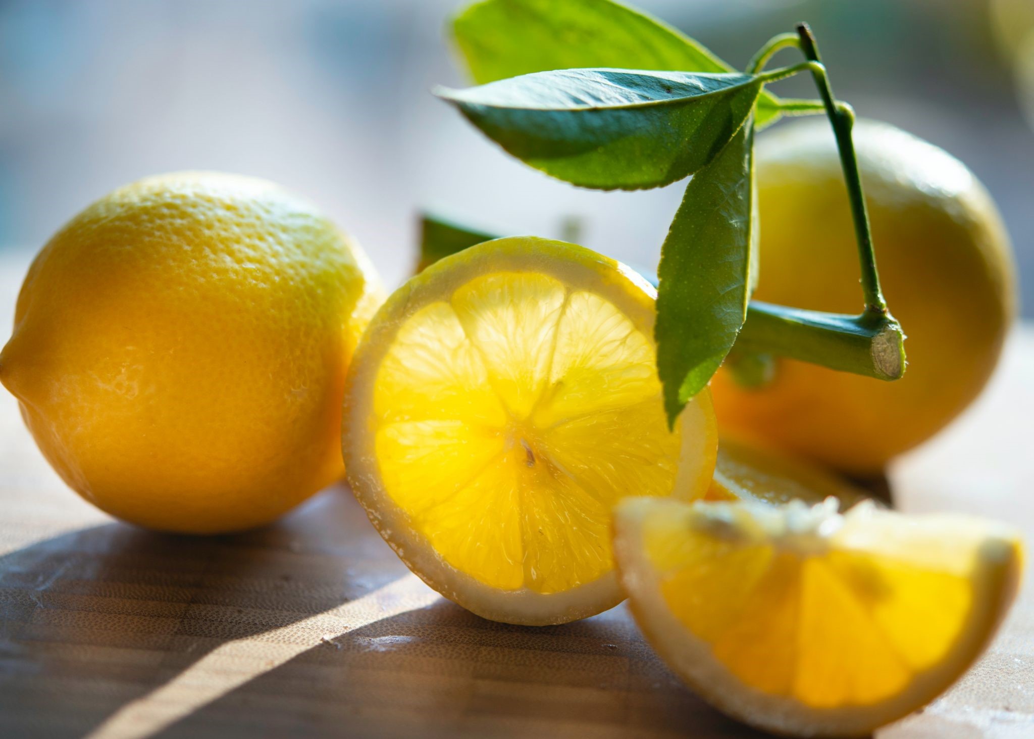 How do you protect baseboards from your pet rabbits_do lemons stop rabbits chewing