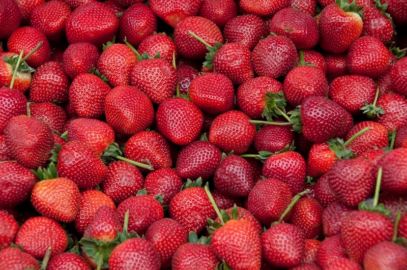 Can pet rabbits eat strawberries_Strawberries