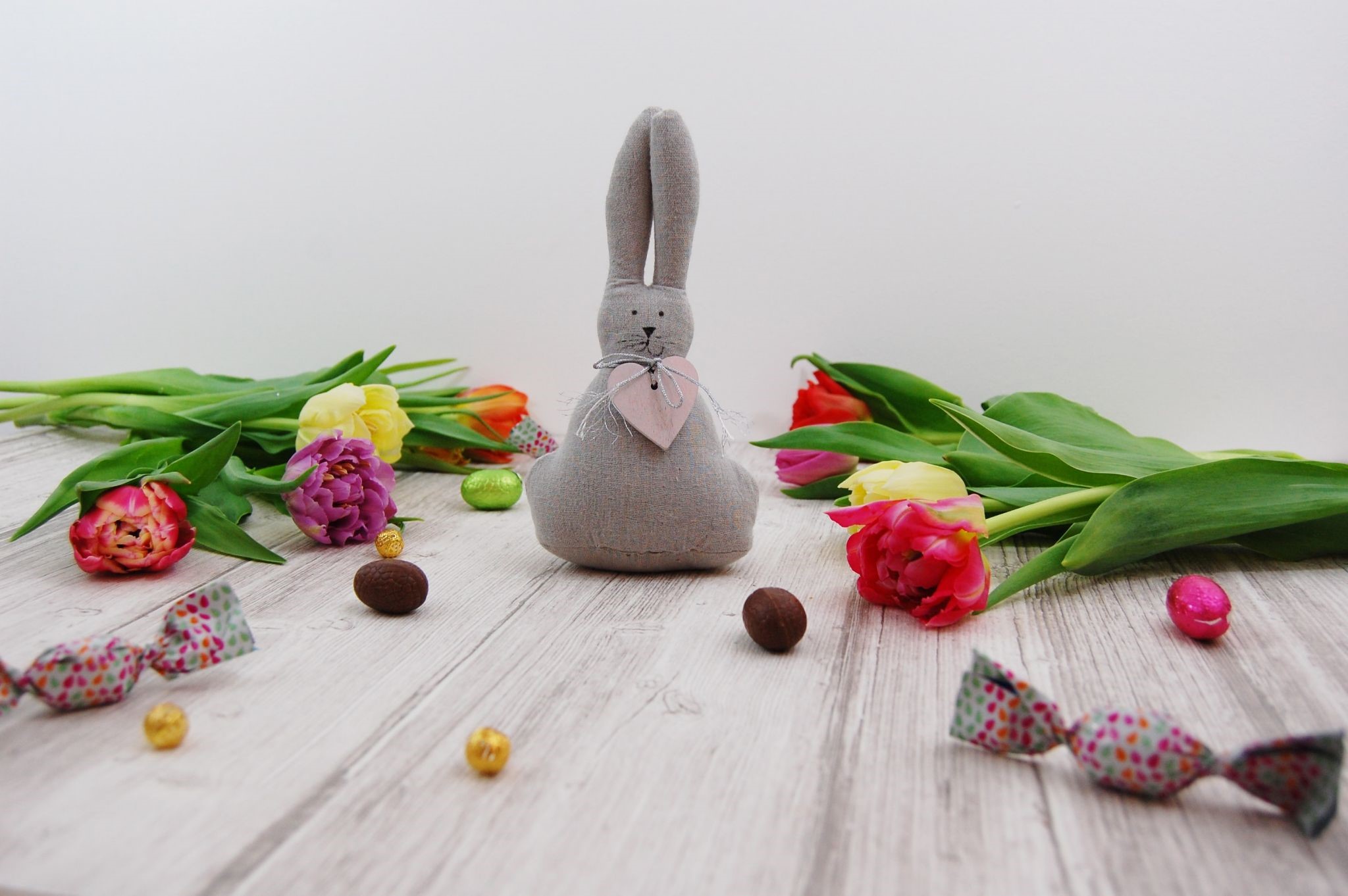 Pet Rabbit for Easter_a rabbit dull