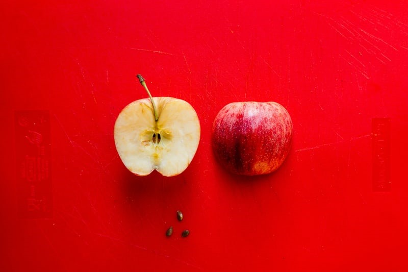 can pet rabbits eat apples_Red apples with seeds