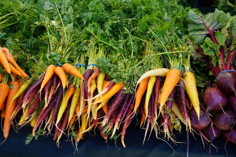 Can bunnies eat carrots_Different species of carrots