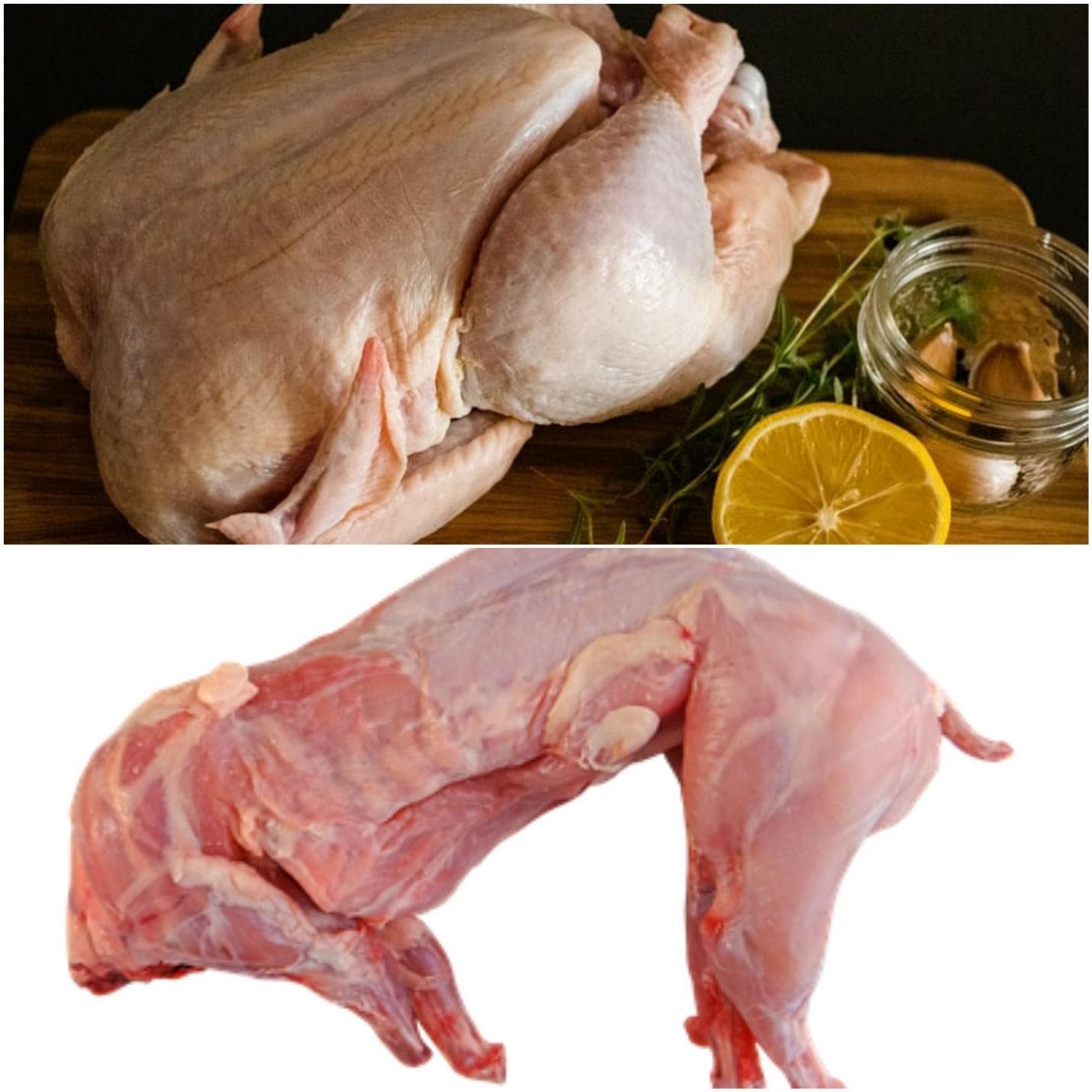 is rabbit meat healthy for you_ Raw Chicken and rabbit meat