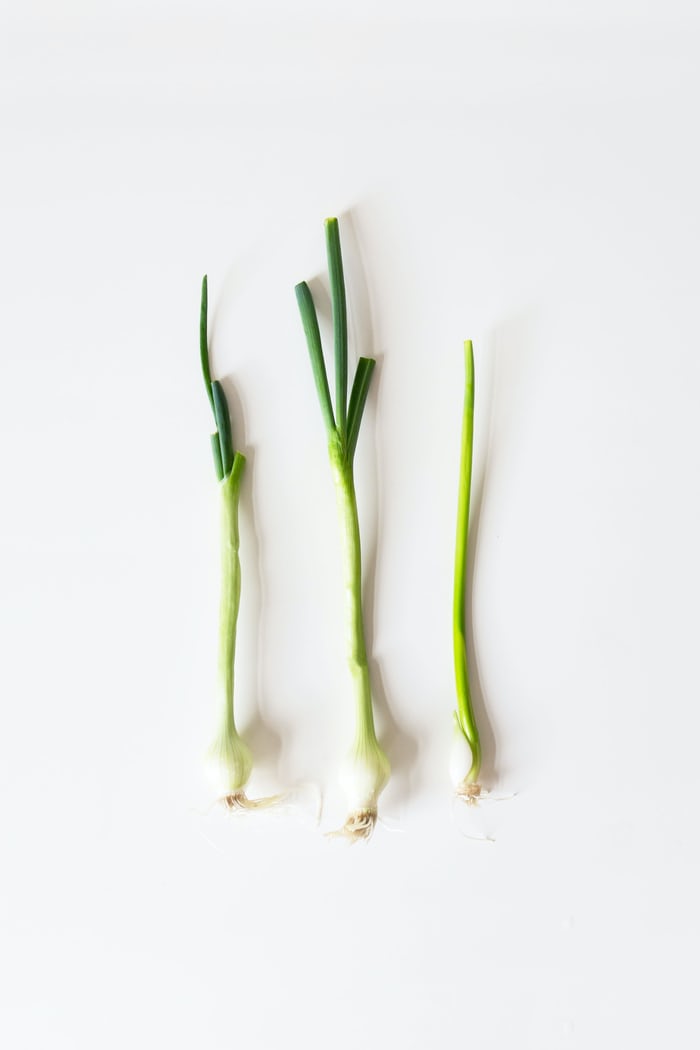 Can Rabbits eat Lemongrass_ Lemongrass stalks
