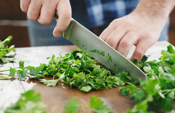 Can Rabbits eat Parsley_ Cutting Parsley leaves