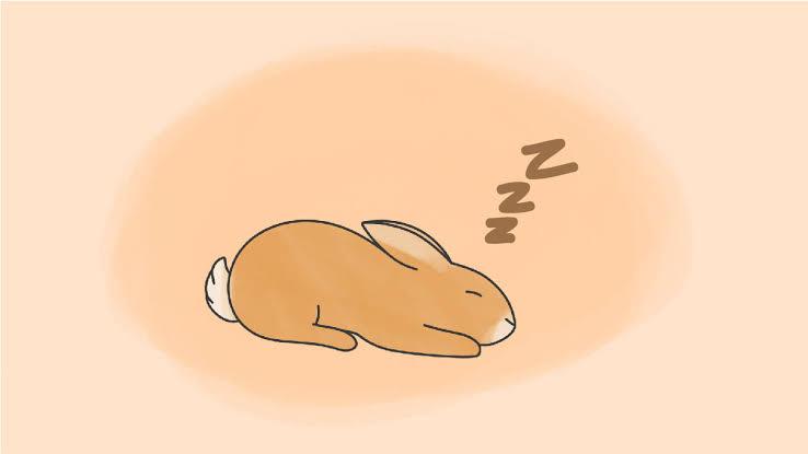 do rabbits dream?_ a clip art of a dreaming rabbit