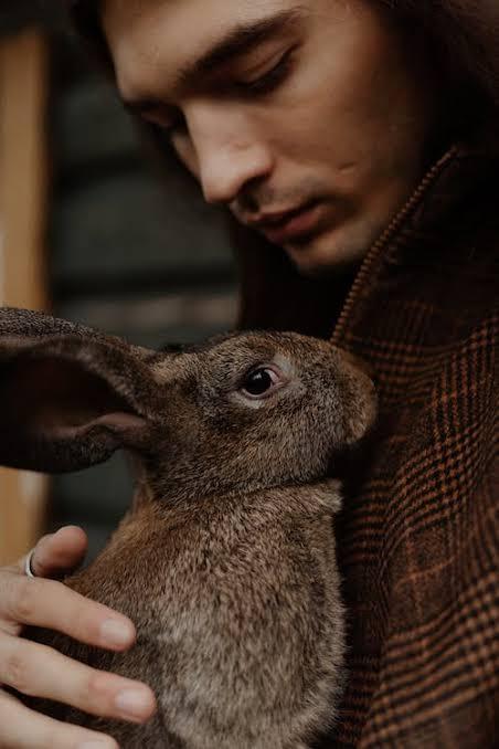 how to get your rabbits to cuddle with you_ a man cuddliy a rabbit