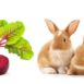 Can Rabbits Eat Beet Greens?