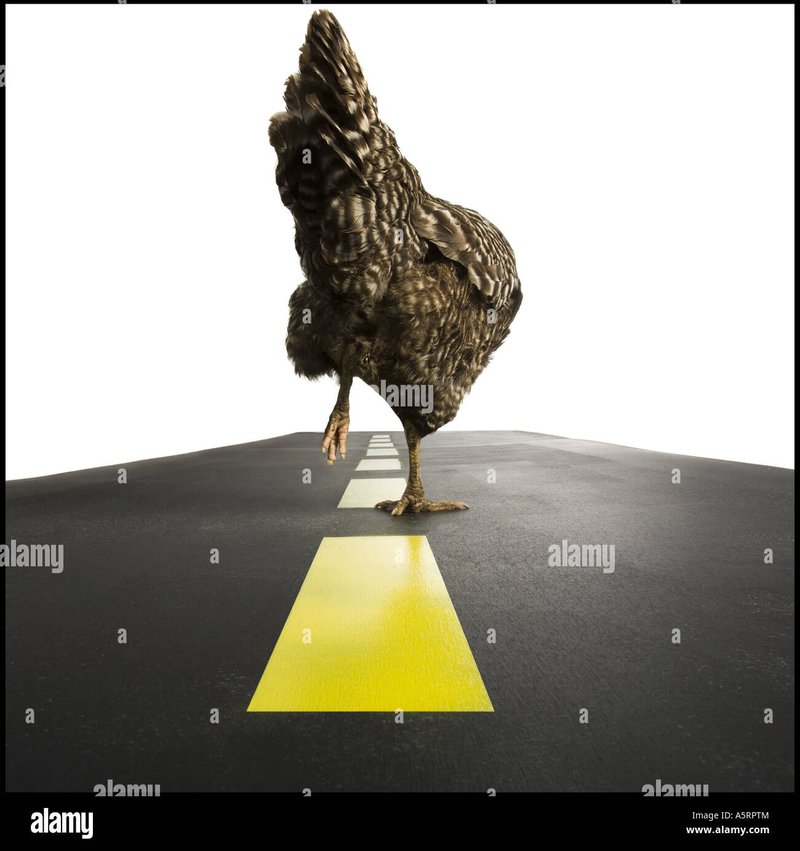 Image: Encuentra El Punto Gordo en El Camino Del Pollo en Los Mejores Casino de España